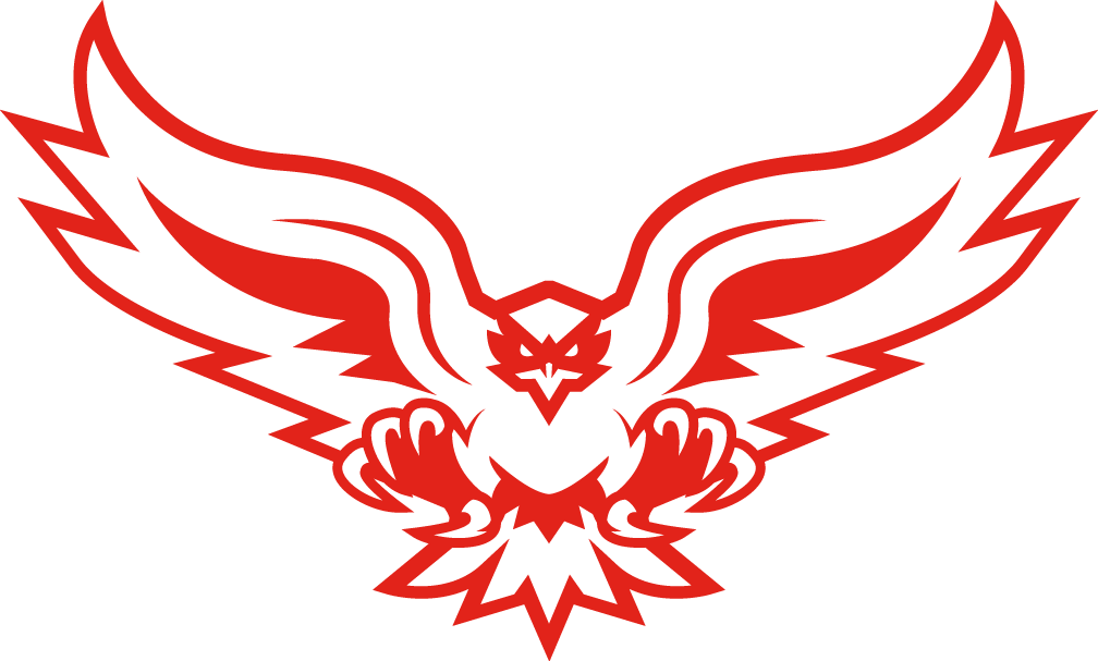 Hartford Hawks 2015-Pres Alternate Logo v4 iron on transfers for clothing
